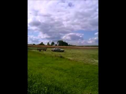 Niedzielny rolnik 