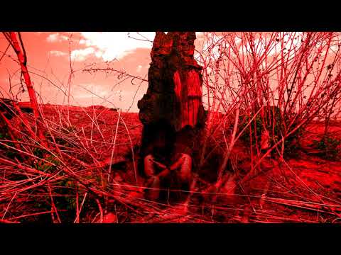 Psíquico - Raul Aú feat Odin (prod. Aú)