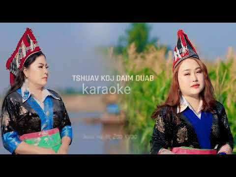 karaoke 🎵🎤 tshuav koj daim duab By zoo xyoj & Dawb yaj
