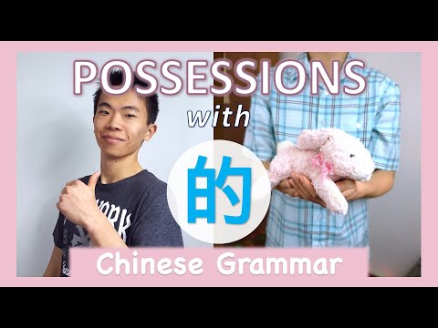 Possessions with 的 (pt 1) \\ Chinese Grammar
