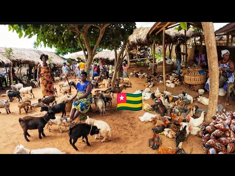 Largest rural  village market day in Vogan Togo west Africa 🌍 Cost of living in an African village🇹🇬