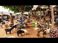 Largest rural  village market day in Vogan Togo west Africa 🌍 Cost of living in an African village🇹🇬