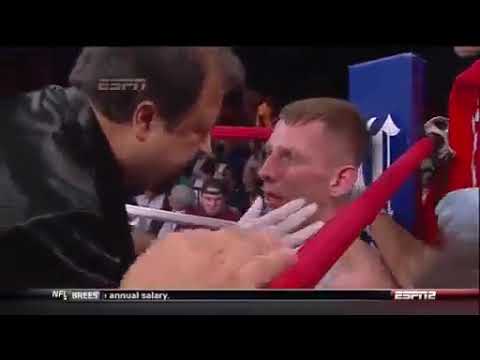 Andrzej Fonfara vs Glen Johnson 2012, Full Fight Cała Walka