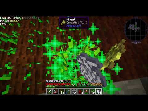 Stoneblock   Ep11 Chickens