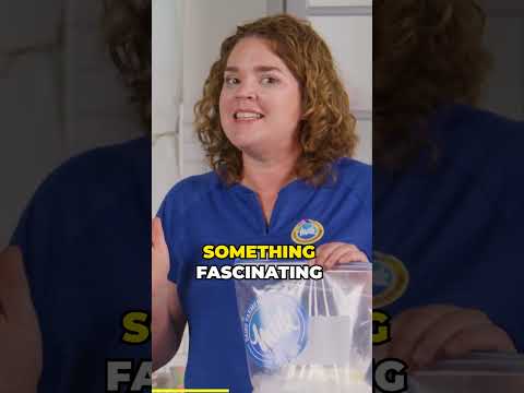 The Role of Salt in Making Ice Cream