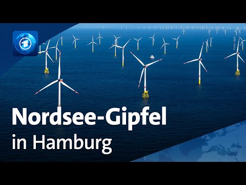 Nordsee-Gipfel in Hamburg: Merz verhandelt mit Anrainer-Staaten über Energiewende