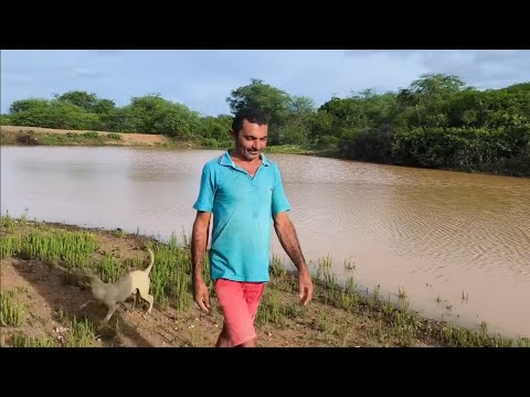 Música do matuto da pisadinha de verdejante Pernambuco. Oh meu irmão a cachaça também mata.