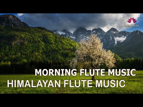 Morning Flute Music | Himalayan Flute Music | Solo flute Music | (बाँसुरी) Aparmita Ep. 136