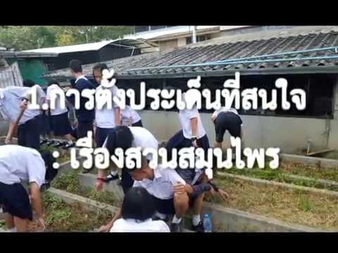 เพิ่มขึ้น Levitra แรง เนื้อแกะและความแข็งแรง