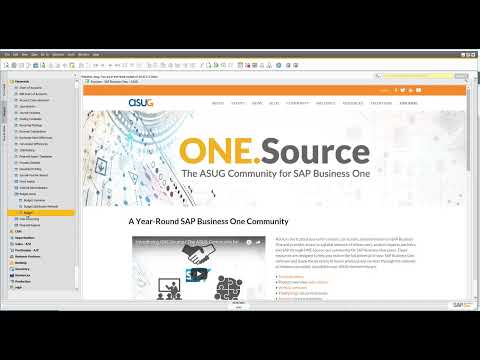 15 Minute Fundamentals for SAP Business One - The Basics of SAP Business One Budgets
