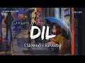 Dil Female Version - Lofi (Slowed + Reverb) | Shreya Ghoshal | Storm Edition | SR Lofi