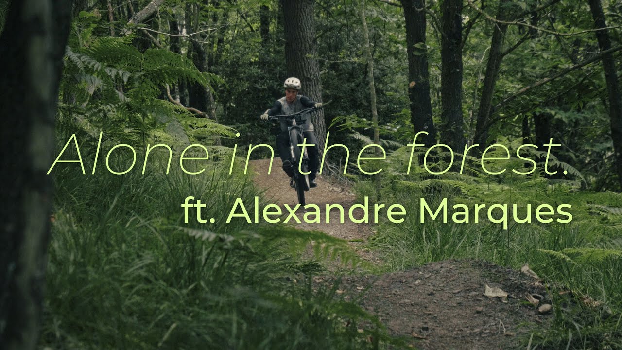 Alone in the Forest