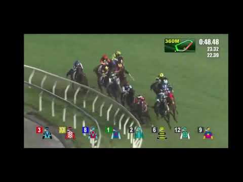 2021 06 02  快活谷 第五場 潘頓 騰龍超影