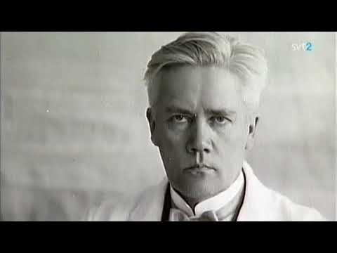 Svenska händelser SVT 2013-05-04