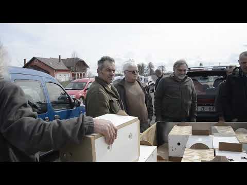 Lovci pustili zečeve u prirodu