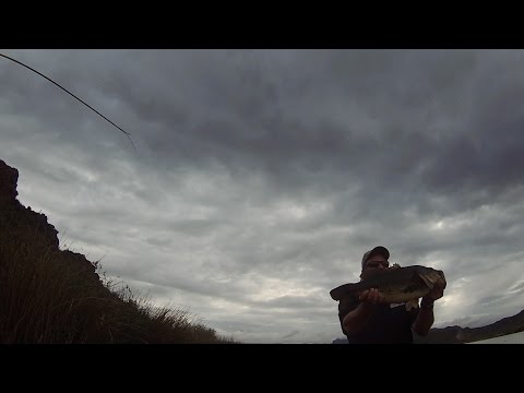 GoPro: Anthony Ybarra - Best Catch 5.27.15 - Fish