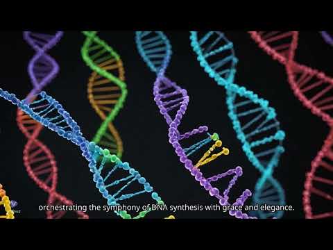 Understanding dNTP (deoxynucleoside triphosphate) in 60 Seconds