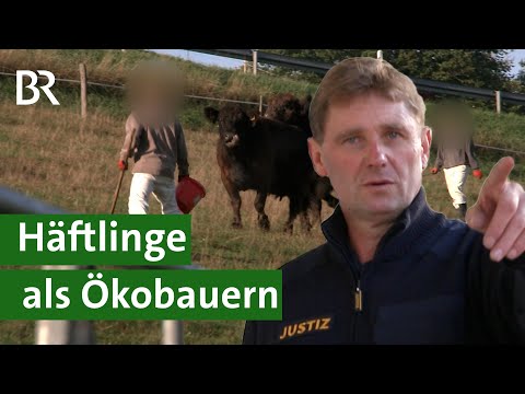 Resozialisierung auf der Weide: Strafgefangene in der ökologischen Landwirtschaft | Unser Land | BR