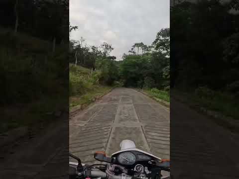 SUBIENDO A PRIMAVERA BOLIVAR VALLE DEL CAUCA