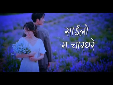 Maya le vane bisai pani pidiula || sailo ma charghare (lyric song)