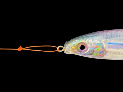 How to tie a Loop Knot