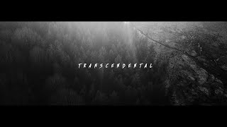 NEUROTIC MACHINERY - TRANSCENDENTAL (OFFICIAL MUSIC VIDEO)