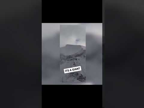 Tik Toker who recorded a Giant found DEAD went missing after reports of being followed #Andykapt