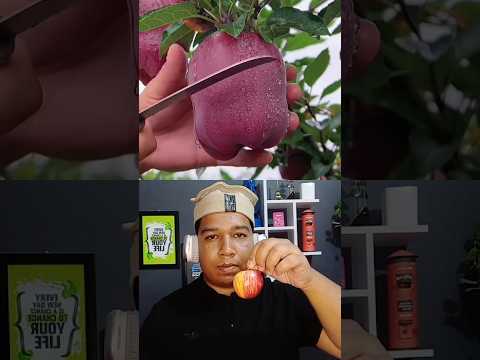 Delicious red apple cutting - Collab Short🍎 #shorts