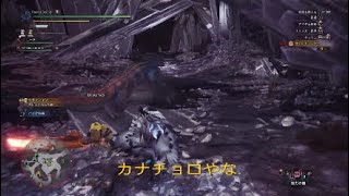 【MHW・金冠集め】ドドガマルえ？wちっさ！w