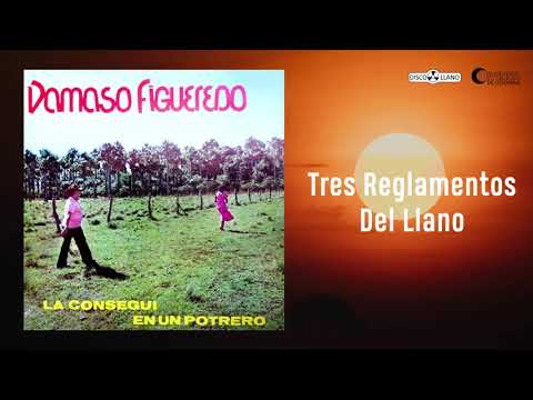 Tres Reglamentos Del Llano - Damaso Figueredo | Cover Audio | Música Llanera