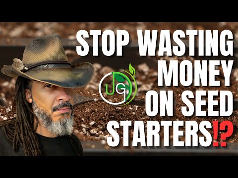 Green Thumbs Up: DIY Seed Starting Tips to Save Money and Grow Your Garden