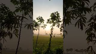 Download lagu SUNRISE - Story wa Pagi Hari mp3