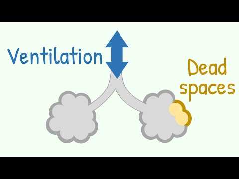 Ventilation & Dead Spaces in Respiratory Tract