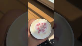 Can’t believe the Disney cruise isn’t coming back 😢 #australia #disney #disneycruise #disneywonder