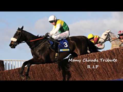 Many Clouds Tribute - Sleeping At Last (R.I.P)