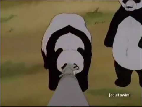 He won’t catch a bullet