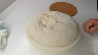 How to make bread with poolish, part 2 - final shaping and crumb view