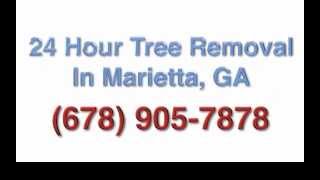 preview picture of video 'Marietta Tree Removal (678) 905-7878'