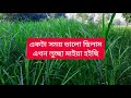 Abasik Hotel Abasik Hotel Video BD Porokia Phone Porokia BD Beautiful View