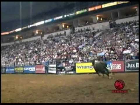 Chris Shivers v Beer Goggles