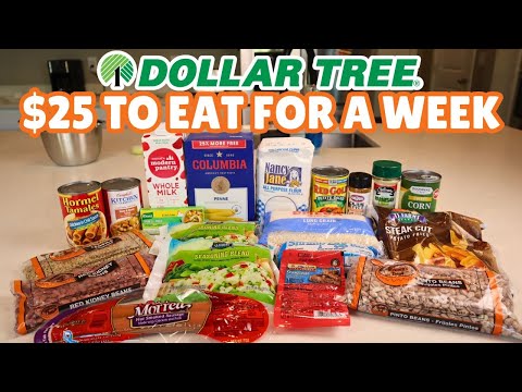 $25 to Eat for a Week? My Dollar Tree Haul & Game Plan