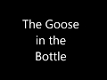 Alan Watts The Goose In The Bottle