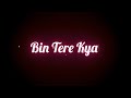 Bin Tere Kya Yaar Mera (Lyrics) 🥀❤️ Black screen whatsapp status ||SB EDITZ||