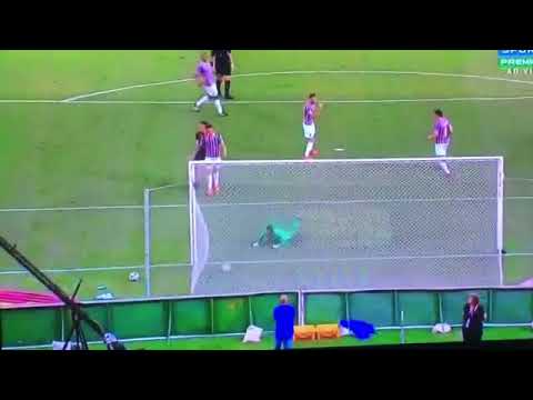 Gol de renê- fluminense 0 x 1 flamengo