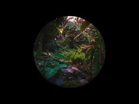 Azpecialguest & Frømme - Kalimba (Original Mix)