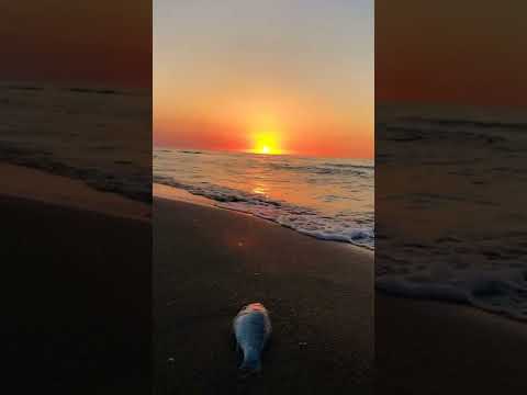 #گردشگری #metahashtags