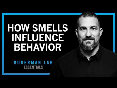 Thumbnail for How Smell, Taste & Pheromones Shape Behavior | Huberman Lab Essentials