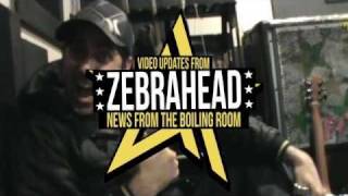 Zebrahead - Studio Update 2/3  -  Matty Guitar Edition (2011)