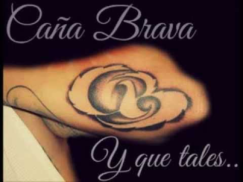 Críticos Manejes = Caña Brava ft Tejemanejes