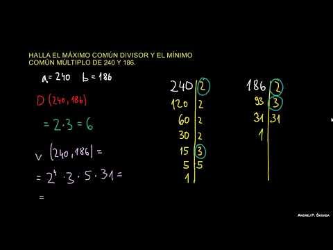 MCD y MCM (Ejercicio)